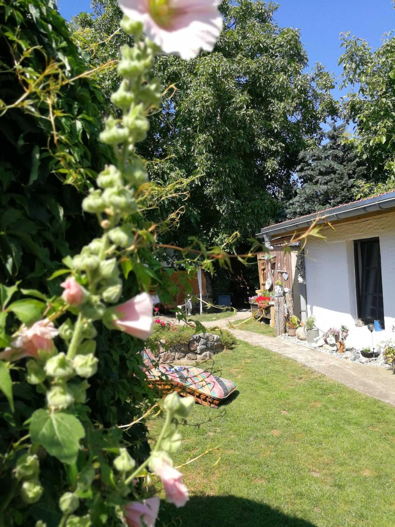 Bungalow bei Warnemünde Elmenhorst/Lichtenhagen Exterior foto